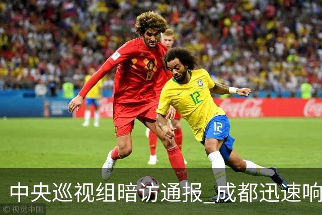 中央巡视组暗访通报 成都迅速响应立案拟顶格处罚