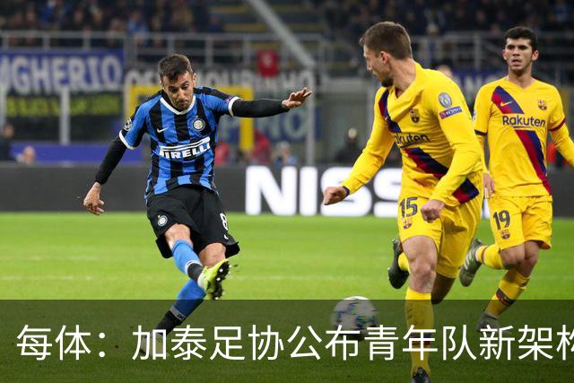 每体：加泰足协公布青年队新架构，奥尔莫父亲上任