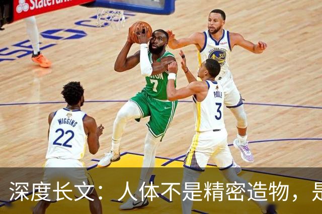 深度长文：人体不是精密造物，是进化盖了 5 亿年的“烂尾楼”！