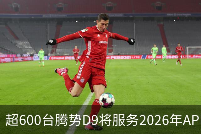 超600台腾势D9将服务2026年APEC会议：满座状态下仍可装载外事行李